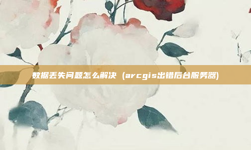 数据丢失问题怎么解决 (arcgis出错后台服务器)