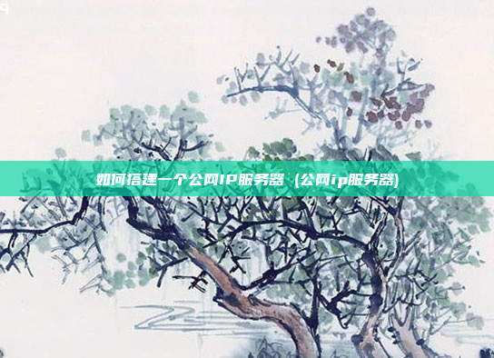 如何搭建一个公网IP服务器 (公网ip服务器)