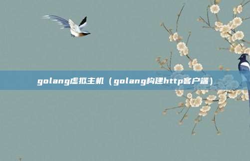 golang虚拟主机（golang构建http客户端）