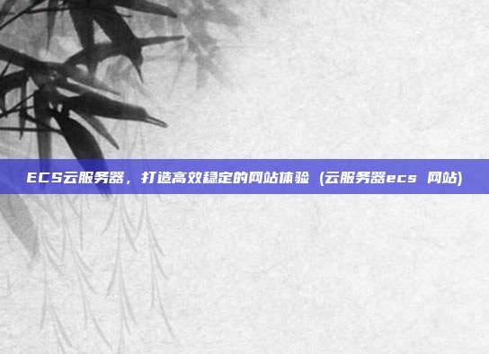 ECS云服务器,打造高效稳定的网站体验 (云服务器ecs 网站)