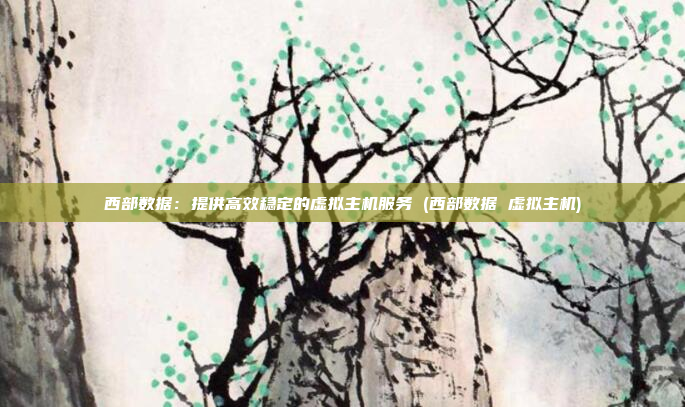 西部数据:提供高效稳定的虚拟主机服务 (西部数据 虚拟主机)