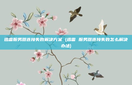 迅雷服务器连接失败解决方案 (迅雷 服务器连接失败怎么解决办法)
