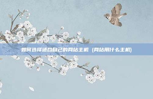 如何选择适合自己的网站主机 (网站用什么主机)