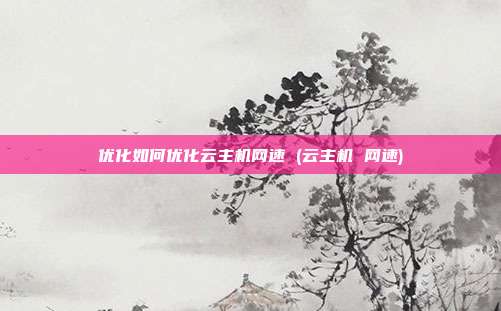 优化如何优化云主机网速 (云主机 网速)