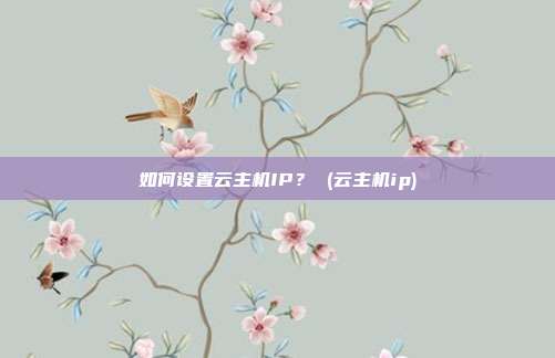 如何设置云主机IP? (云主机ip)