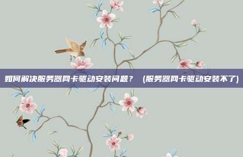 如何解决服务器网卡驱动安装问题？ (服务器网卡驱动安装不了)