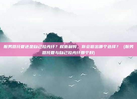 服务器托管还是自己拉光纤?权衡利弊,你会做出哪个选择? (服务器托管与自己拉光纤那个好)