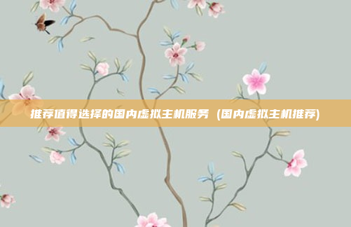 推荐值得选择的国内虚拟主机服务 (国内虚拟主机推荐)