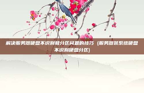 解决服务器硬盘不识别和分区问题的技巧 (服务器装系统硬盘不识别硬盘分区)