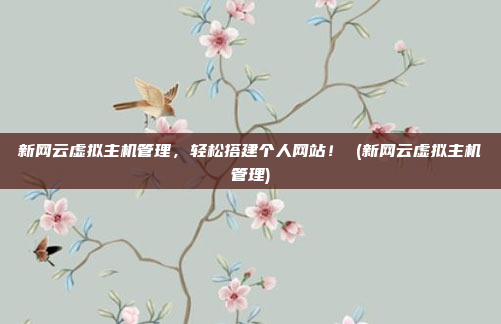 新网云虚拟主机管理,轻松搭建个人网站! (新网云虚拟主机管理)