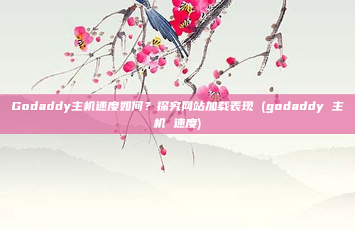 Godaddy主机速度如何?探究网站加载表现 (godaddy 主机 速度)