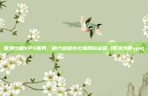 香港沙田VPS服务,助力远程办公和网站运营 (香港沙田vps)