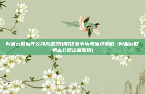 阿里云数据库公网流量费用的注意事项与应对策略 (阿里云数据库公网流量费用)