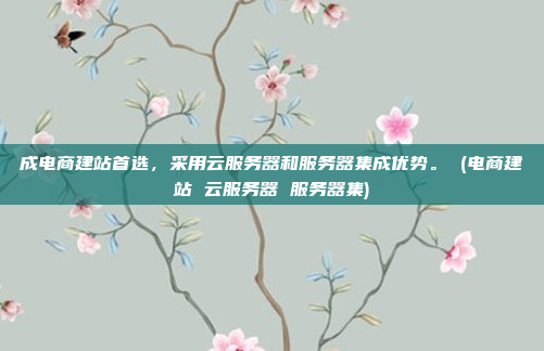 成电商建站首选,采用云服务器和服务器集成优势。 (电商建站 云服务器 服务器集)