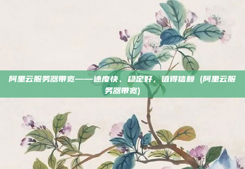 阿里云服务器带宽——速度快、稳定好，值得信赖 (阿里云服务器带宽)