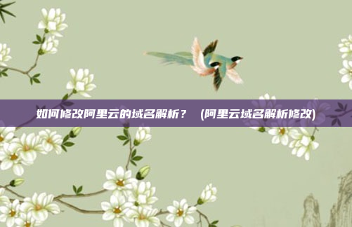 如何修改阿里云的域名解析? (阿里云域名解析修改)