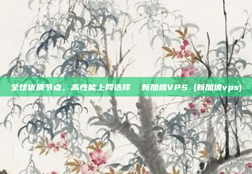 全球优质节点，高性能上网选择  新加坡VPS (新加坡vps)