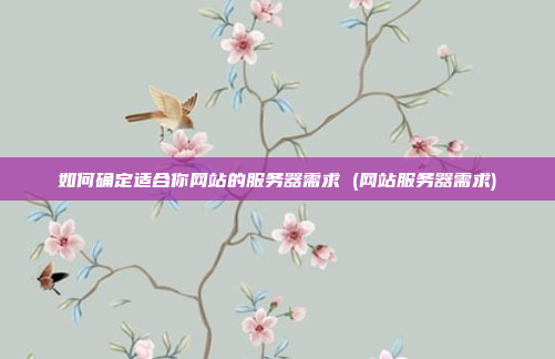 如何确定适合你网站的服务器需求 (网站服务器需求)