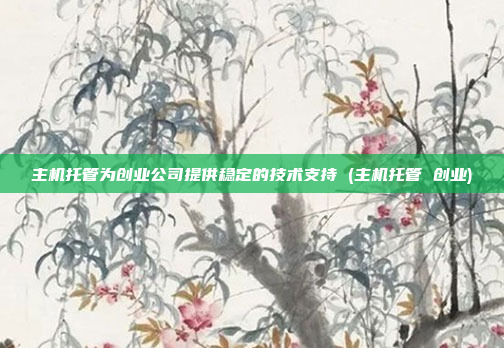 主机托管为创业公司提供稳定的技术支持 (主机托管 创业)