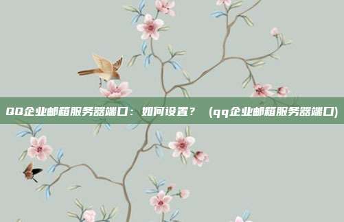 QQ企业邮箱服务器端口:如何设置? (qq企业邮箱服务器端口)