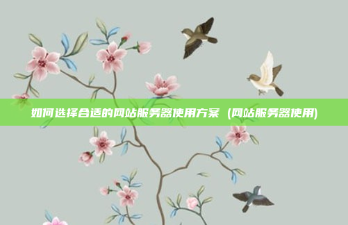 如何选择合适的网站服务器使用方案 (网站服务器使用)