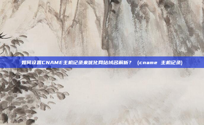如何设置CNAME主机记录来优化网站域名解析? (cname 主机记录)