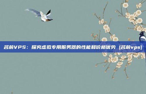 名前VPS:探究虚拟专用服务器的性能和价格优势 (名前vps)