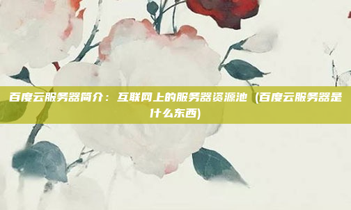 百度云服务器简介:互联网上的服务器资源池 (百度云服务器是什么东西)