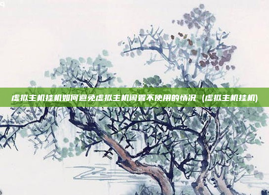 虚拟主机挂机如何避免虚拟主机闲置不使用的情况 (虚拟主机挂机)