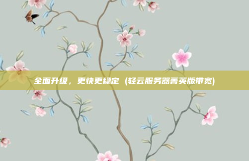 全面升级,更快更稳定 (轻云服务器菁英版带宽)