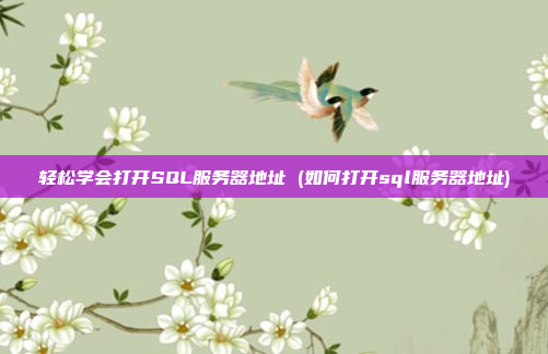 轻松学会打开SQL服务器地址 (如何打开sql服务器地址)