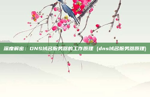 深度解密:DNS域名服务器的工作原理 (dns域名服务器原理)