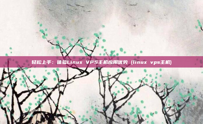 轻松上手:体验Linux VPS主机应用优势 (linux vps主机)