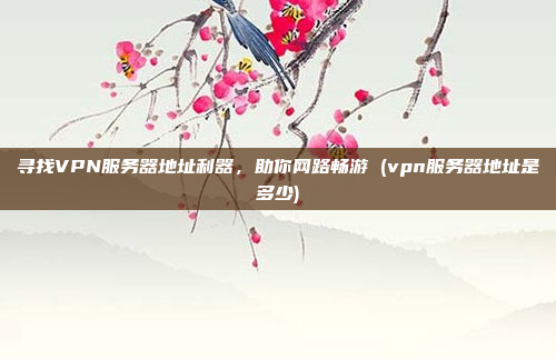 寻找VPN服务器地址利器,助你网路畅游 (vpn服务器地址是多少)