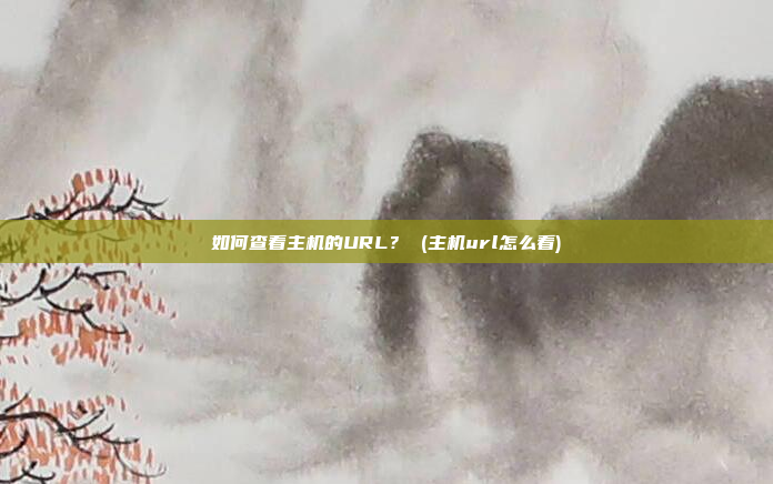 如何查看主机的URL？ (主机url怎么看)