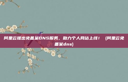阿里云推出免备案DNS服务,助力个人网站上线! (阿里云免备案dns)