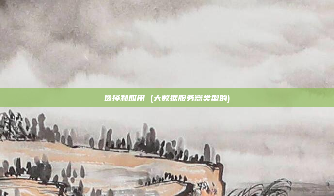选择和应用 (大数据服务器类型的)