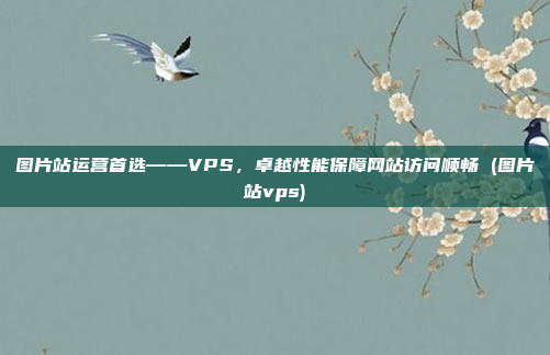 图片站运营首选——VPS，卓越性能保障网站访问顺畅 (图片站vps)