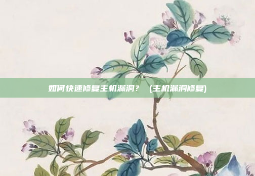 如何快速修复主机漏洞？ (主机漏洞修复)