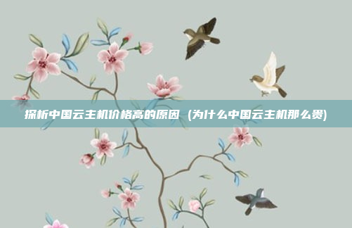 探析中国云主机价格高的原因 (为什么中国云主机那么贵)