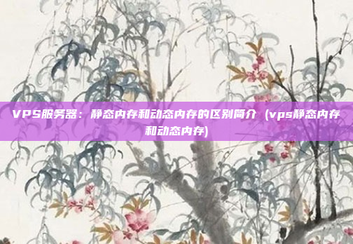 VPS服务器:静态内存和动态内存的区别简介 (vps静态内存和动态内存)