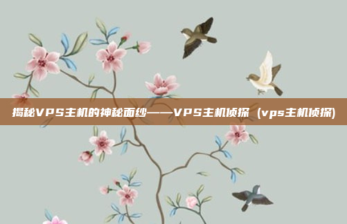 揭秘VPS主机的神秘面纱——VPS主机侦探 (vps主机侦探)