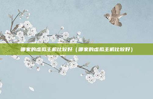 哪家的虚拟主机比较好（哪家的虚拟主机比较好）