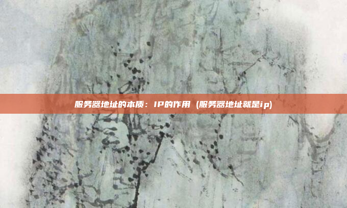 服务器地址的本质:IP的作用 (服务器地址就是ip)