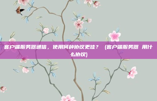 客户端服务器通信,使用何种协议更佳? (客户端服务器 用什么协议)