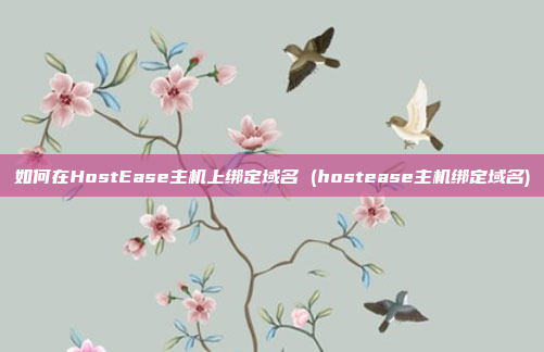 如何在HostEase主机上绑定域名 (hostease主机绑定域名)