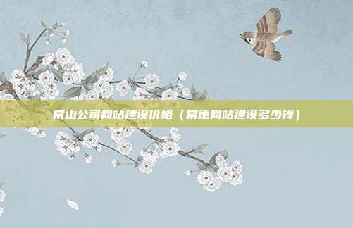 常山公司网站建设价格（常德网站建设多少钱）