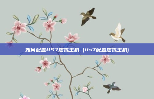 如何配置IIS7虚拟主机 (iis7配置虚拟主机)