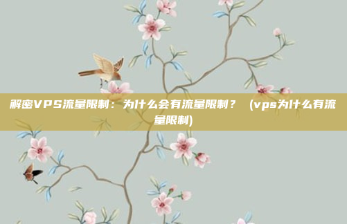 解密VPS流量限制:为什么会有流量限制? (vps为什么有流量限制)