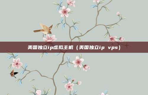 美国独立ip虚拟主机(美国独立ip vps)